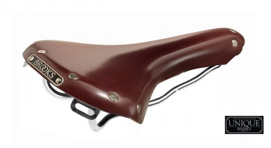 swallow_chro-brown-l