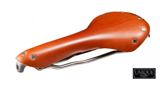 swallow_ti-brown-l2