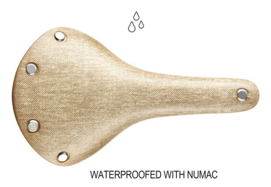 Brooks Cambium