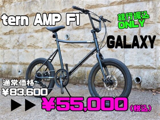 【現金特価SALE 】tern AMP F1 GALAXY