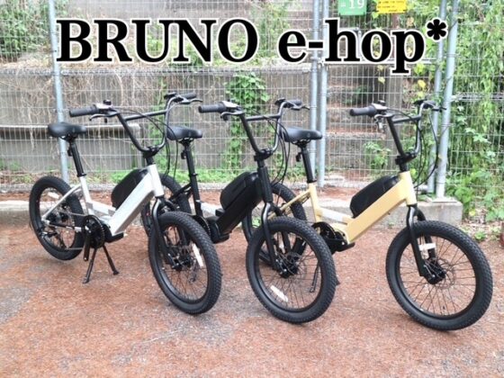 BRUNO e-hop*